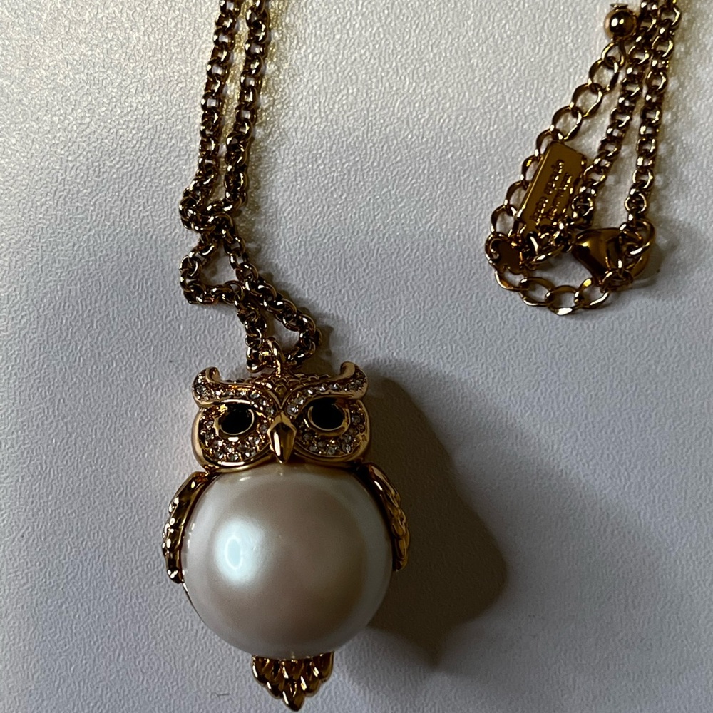 Kate Spade Into the Woods Owl Long Pendant